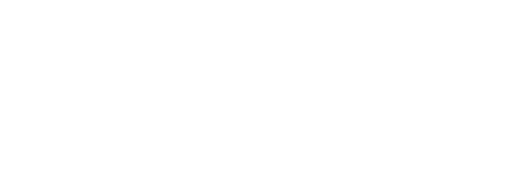 Steiner Brandforensik